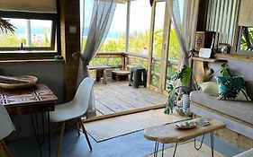 Lily Pad Lodge